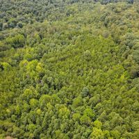 35.1 acres of Recreational and Hunting Land For Sale in Henry County VA images 4
