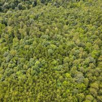 35.1 acres of Recreational and Hunting Land For Sale in Henry County VA images 5