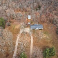 The Edge of the Woods images 2