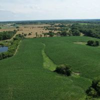LAND FOR SALE - 28.2 - ACRES POSSIBLE BUILDING LOT- TILLABLE - MUNCIE INDIANA - HENRY COUNTY images 2