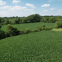 LAND FOR SALE - 28.2 - ACRES POSSIBLE BUILDING LOT- TILLABLE - MUNCIE INDIANA - HENRY COUNTY images 3