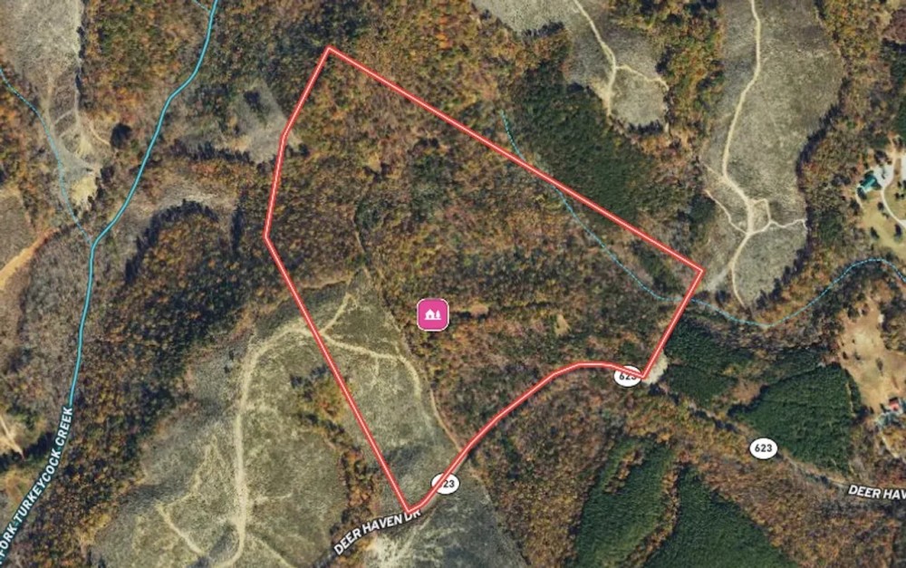 74.52 acres of Prime Recreational and Hunting Land For Sale in Henry County VA featured image