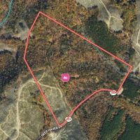 74.52 acres of Prime Recreational and Hunting Land For Sale in Henry County VA