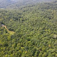 74.52 acres of Prime Recreational and Hunting Land For Sale in Henry County VA images 3