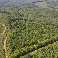 74.52 acres of Prime Recreational and Hunting Land For Sale in Henry County VA images 4