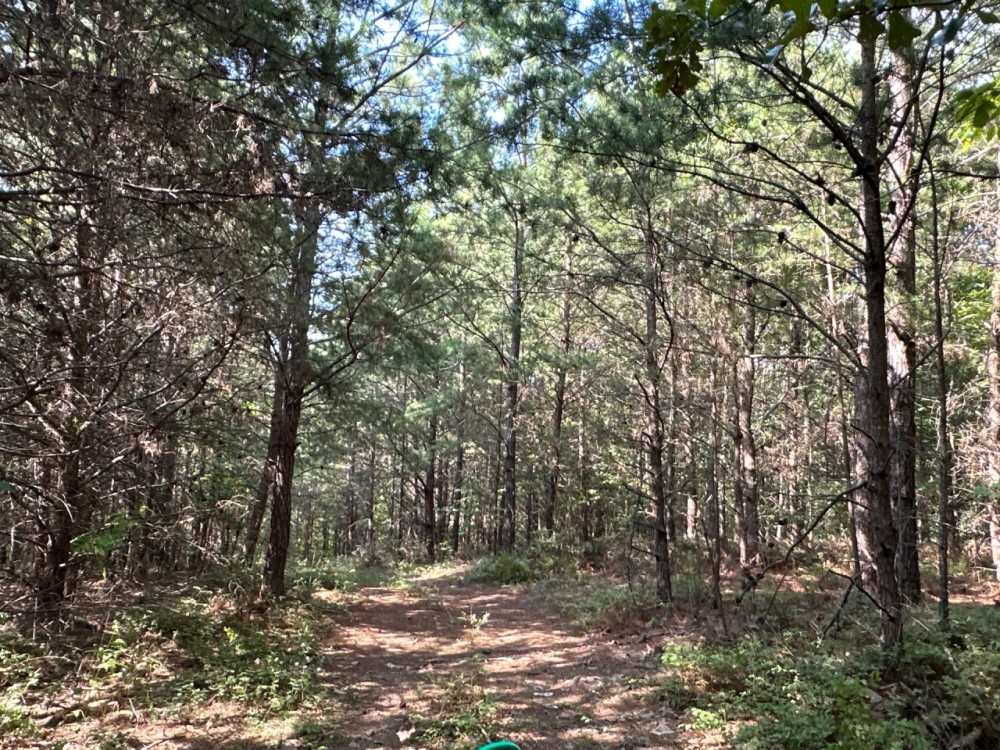 40 Acre Recreational Tract featured image