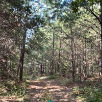 40 Acre Recreational Tract