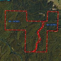40 Acre Recreational Tract images 2