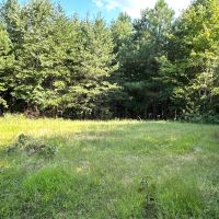 40 Acre Recreational Tract images 5