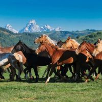 Red Hills Ranch
