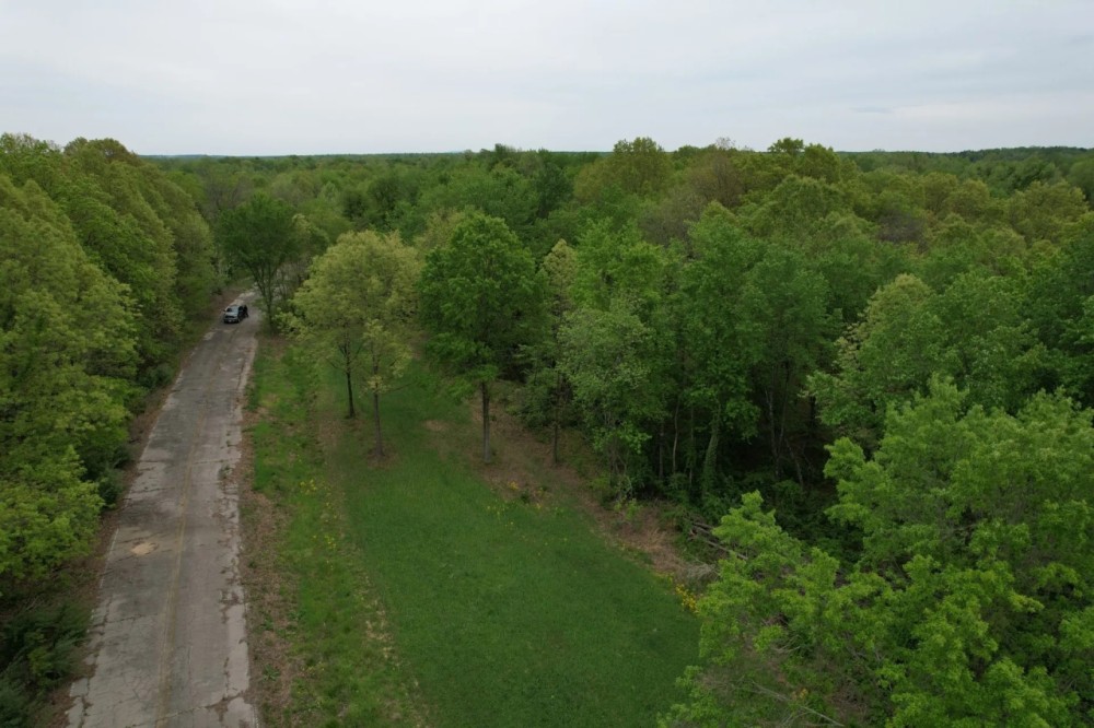 Great place to hunt build a cabin and enjoy the outdoors. featured image