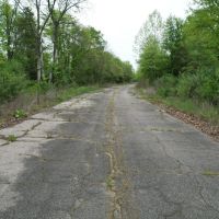 Great place to hunt build a cabin and enjoy the outdoors. images 3