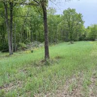 Great place to hunt build a cabin and enjoy the outdoors. images 5