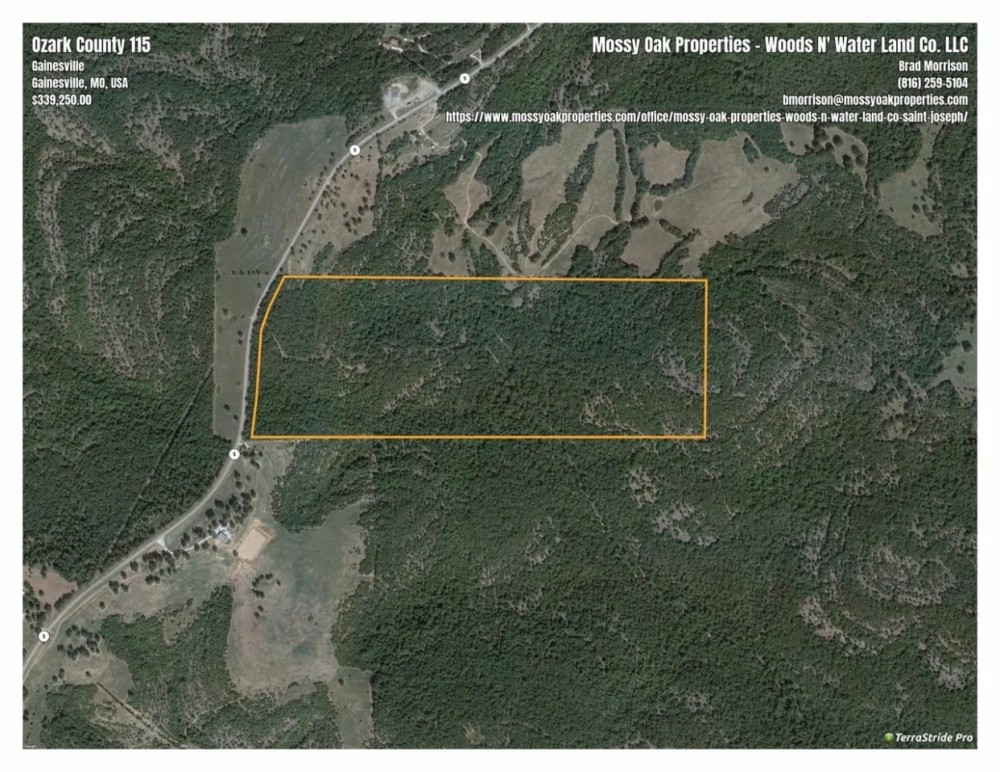 Hwy 5 South Frontage Hunting Building Acreage -Ozark County featured image