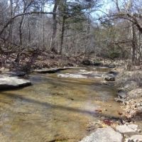 Hwy 5 South Frontage Hunting Building Acreage -Ozark County images 5