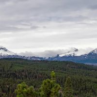 Bull Springs Skyline Forest images 2