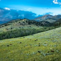 Bridger Foothills Parcel 2 images 4