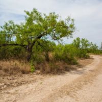 Yar-Bar-O Ranch images 2