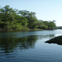 35,000 acres Deer hunting property Escambia River WMA in Fulton, FL
