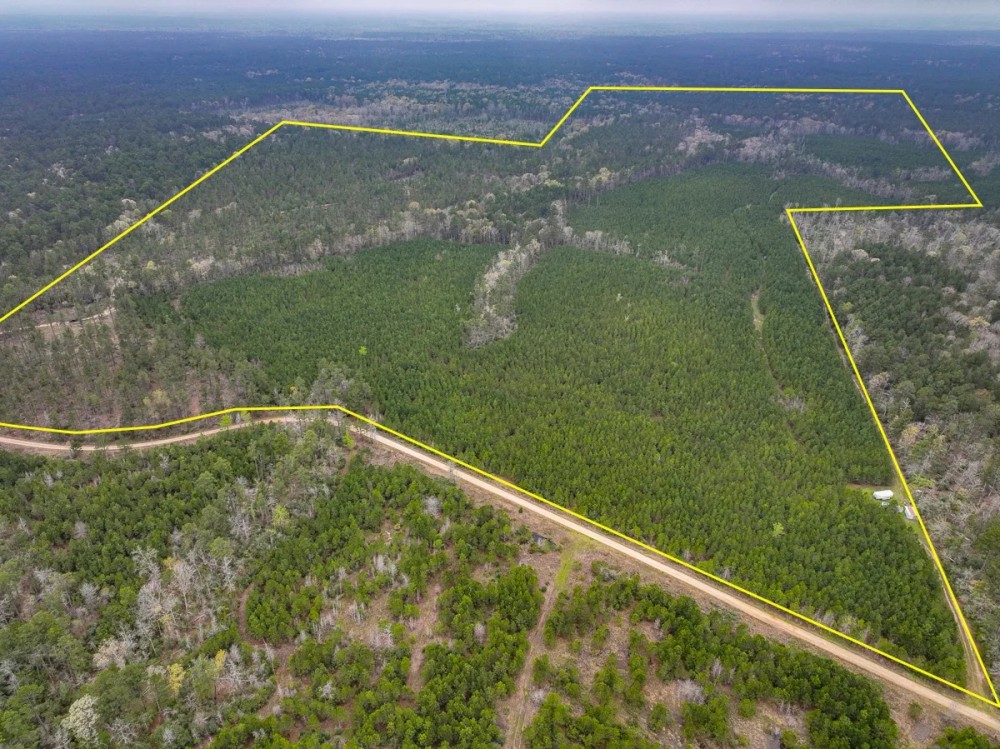 296 Acres Forest Service Road 503 featured image
