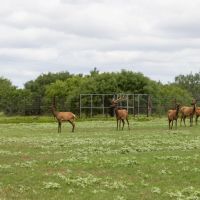 U Name it Ranch images 4