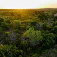 Oasis Ranch 1051 Acres Childress TX images 4