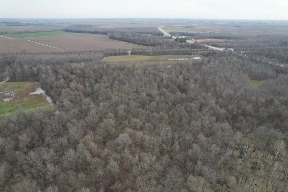 Farm and Recreational Land in Craighead County AR featured image