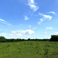 03-049-crooked-c-farm-and-estate-lot images 5
