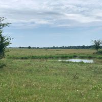 206.13 Acre Oklahoma Cattle Ranch Coalgate OK images 5