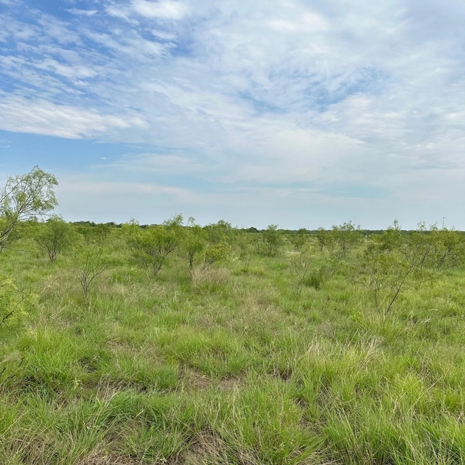 Available 10.5 Acres Tract 10 Callahan County featured image