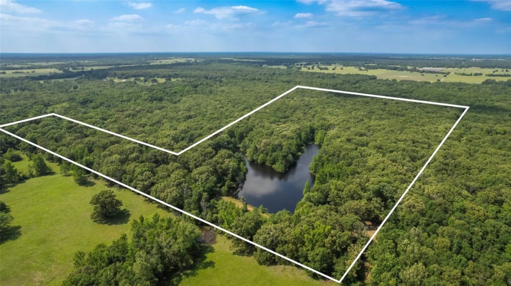 Cabin on 86 Wooded Acres w Private Lake within 1.5 hours from Dallas featured image