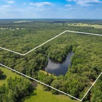 Cabin on 86 Wooded Acres w Private Lake within 1.5 hours from Dallas