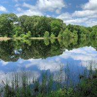 Cabin on 86 Wooded Acres w Private Lake within 1.5 hours from Dallas images 2