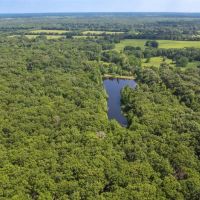 Cabin on 86 Wooded Acres w Private Lake within 1.5 hours from Dallas images 3