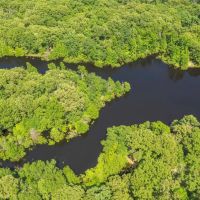 Cabin on 86 Wooded Acres w Private Lake within 1.5 hours from Dallas images 4