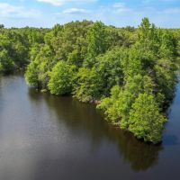 Cabin on 86 Wooded Acres w Private Lake within 1.5 hours from Dallas images 5