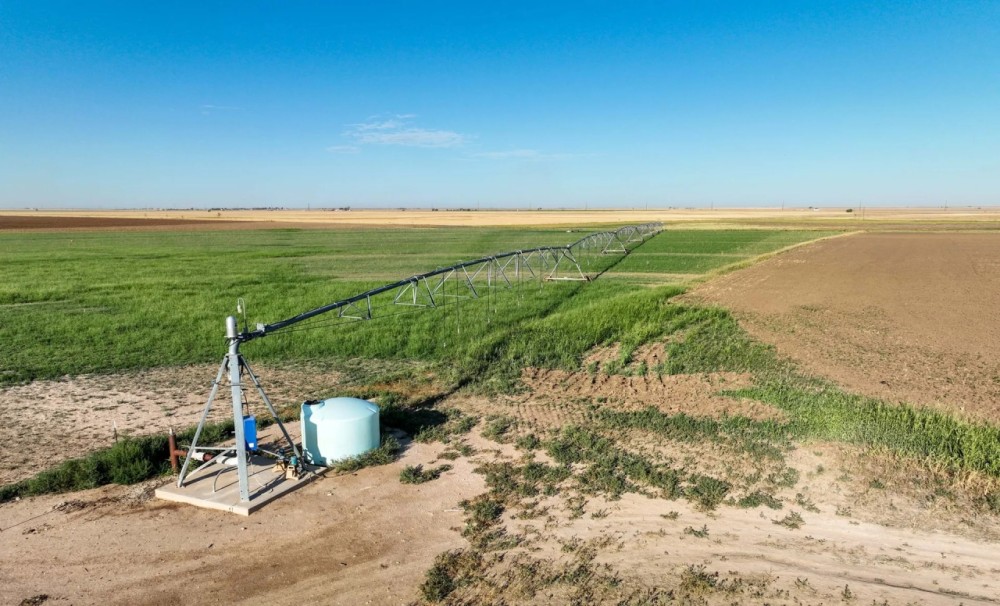 Swisher County Farm featured image