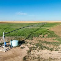 Swisher County Farm