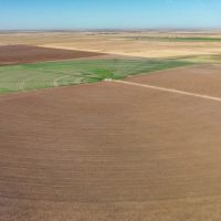 Swisher County Farm images 2
