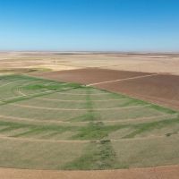 Swisher County Farm images 3