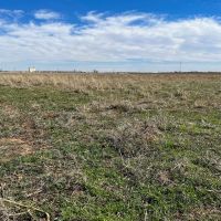 Swisher County Farm images 4