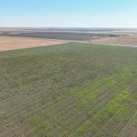 Swisher County Farm images 5
