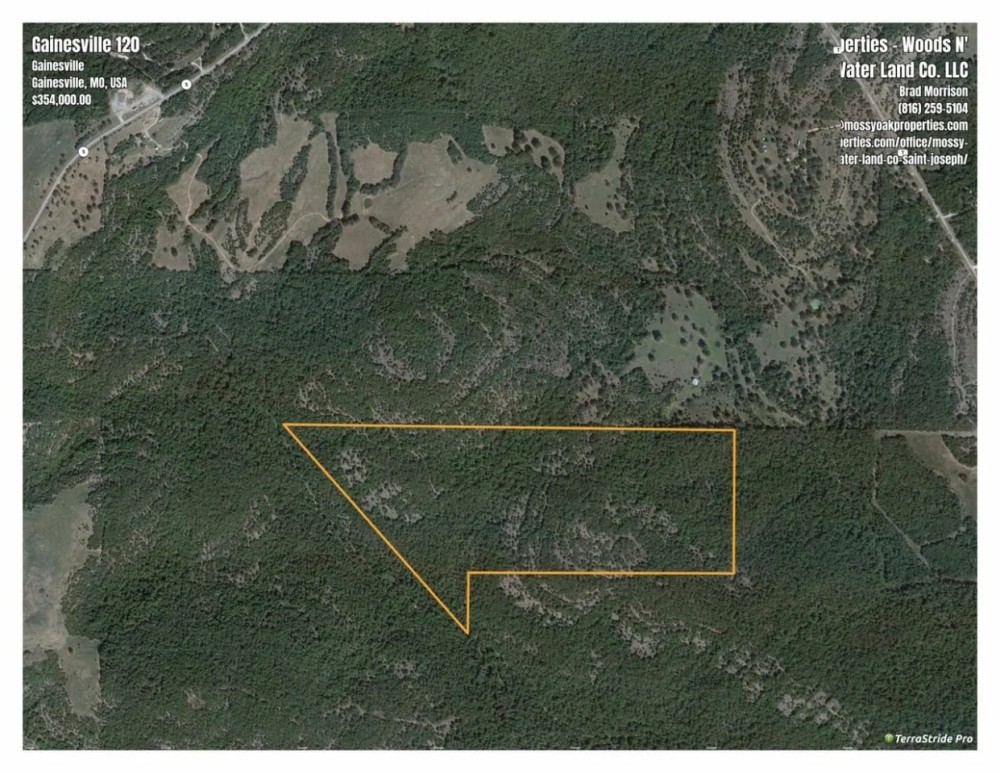 Secluded OFF-GRID Hunting Acreage in Ozark County featured image