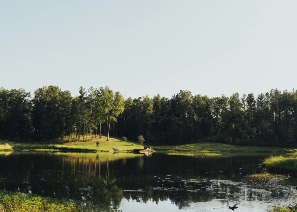 37.03 Acres with a Stocked Pond and Home in Hinds County MS featured image