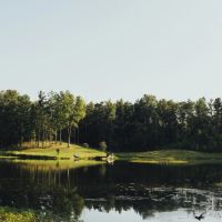 37.03 Acres with a Stocked Pond and Home in Hinds County MS