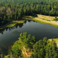 37.03 Acres with a Stocked Pond and Home in Hinds County MS images 4