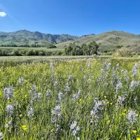 Iron Mine Ranch images 2
