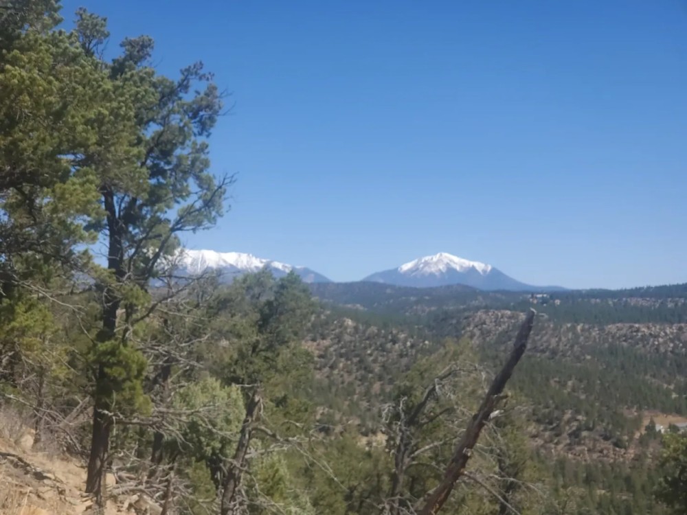 Rancho Escondido Hunter s Paradise featured image
