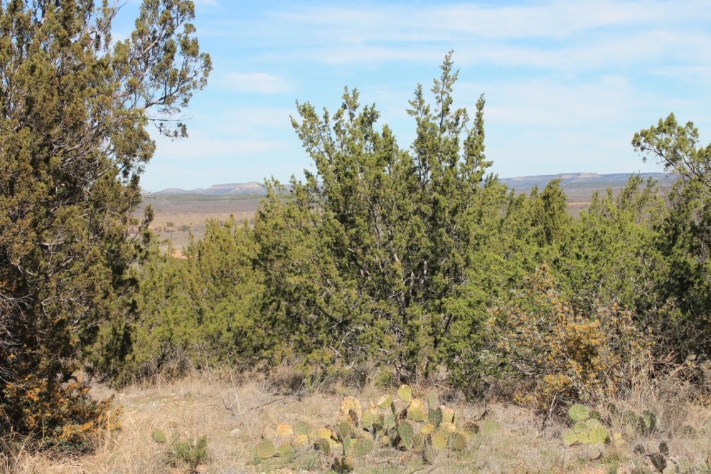 Hwy 158 Ranch featured image