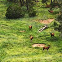 Cliffside Ranch images 2